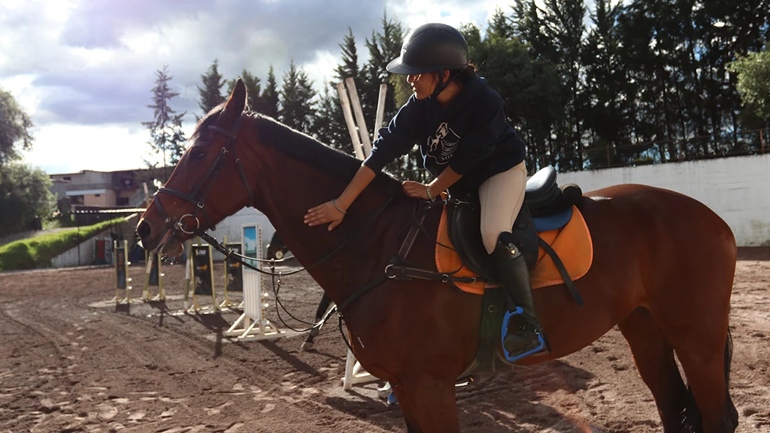 La Hacienda Ecuestre Cuidado y Entrenamiento de Caballos