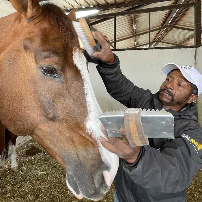 La hacienda ecuestre servicios cuidado de caballos