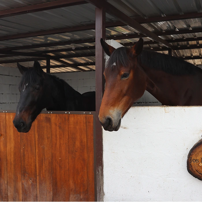 La hacienda ecuestre servicios instalaciones para caballos